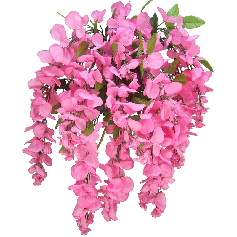 Pink Wisteria Plant Arrangement