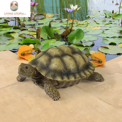 QM1887611 Gilbert the Box Turtle Garden Decor Animal Statue, 9 Inch, Full Color