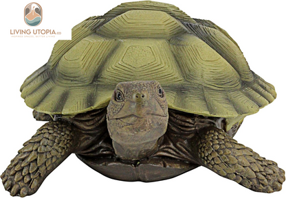QM1887611 Gilbert the Box Turtle Garden Decor Animal Statue, 9 Inch, Full Color