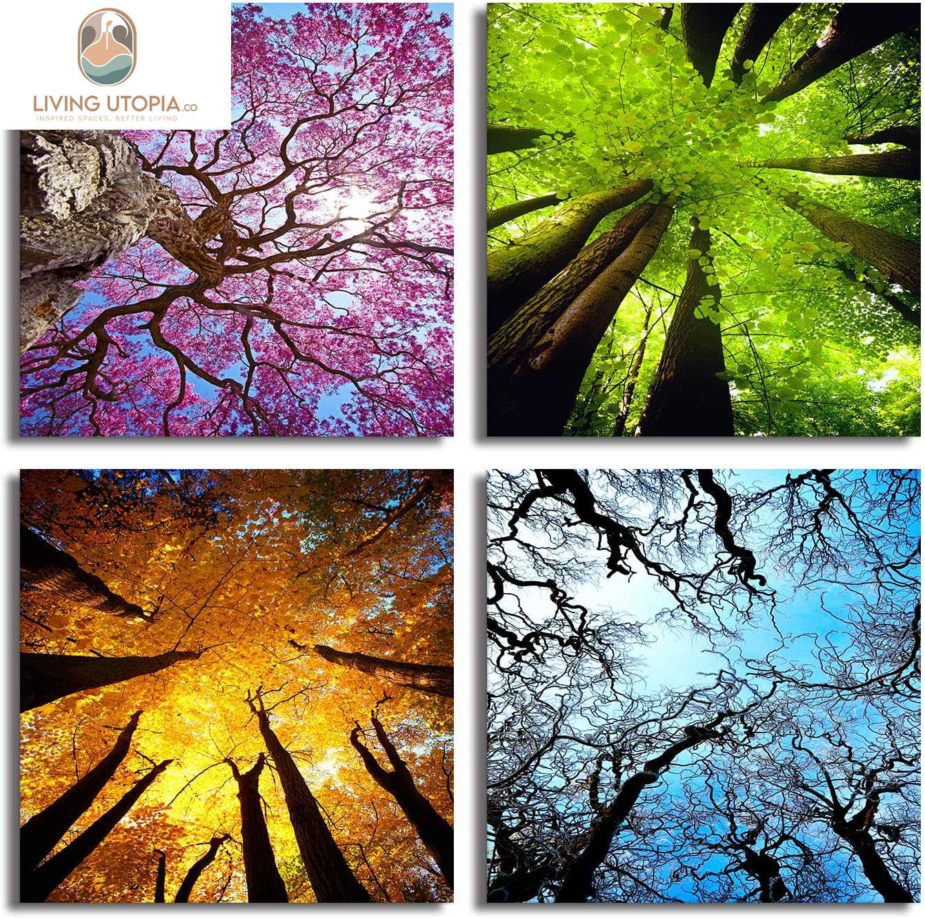 Art 4 Panels Canvas Wall Art Spring Summer Autumn Winter Four Seasons Landscape Color Tree Painting Picture Prints Modern Giclee Artwork Stretched and Framed for Living Room Home Decoration
