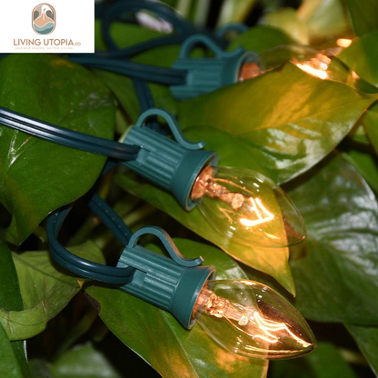 25 Pack C7 Clear Replacement Bulbs, C7 Clear Light Bulbs for Christmas Outdoor Patio Indoor String Lights, C7/E12 Candelabra Base, 5 Watt Night Light Bulbs- Clear