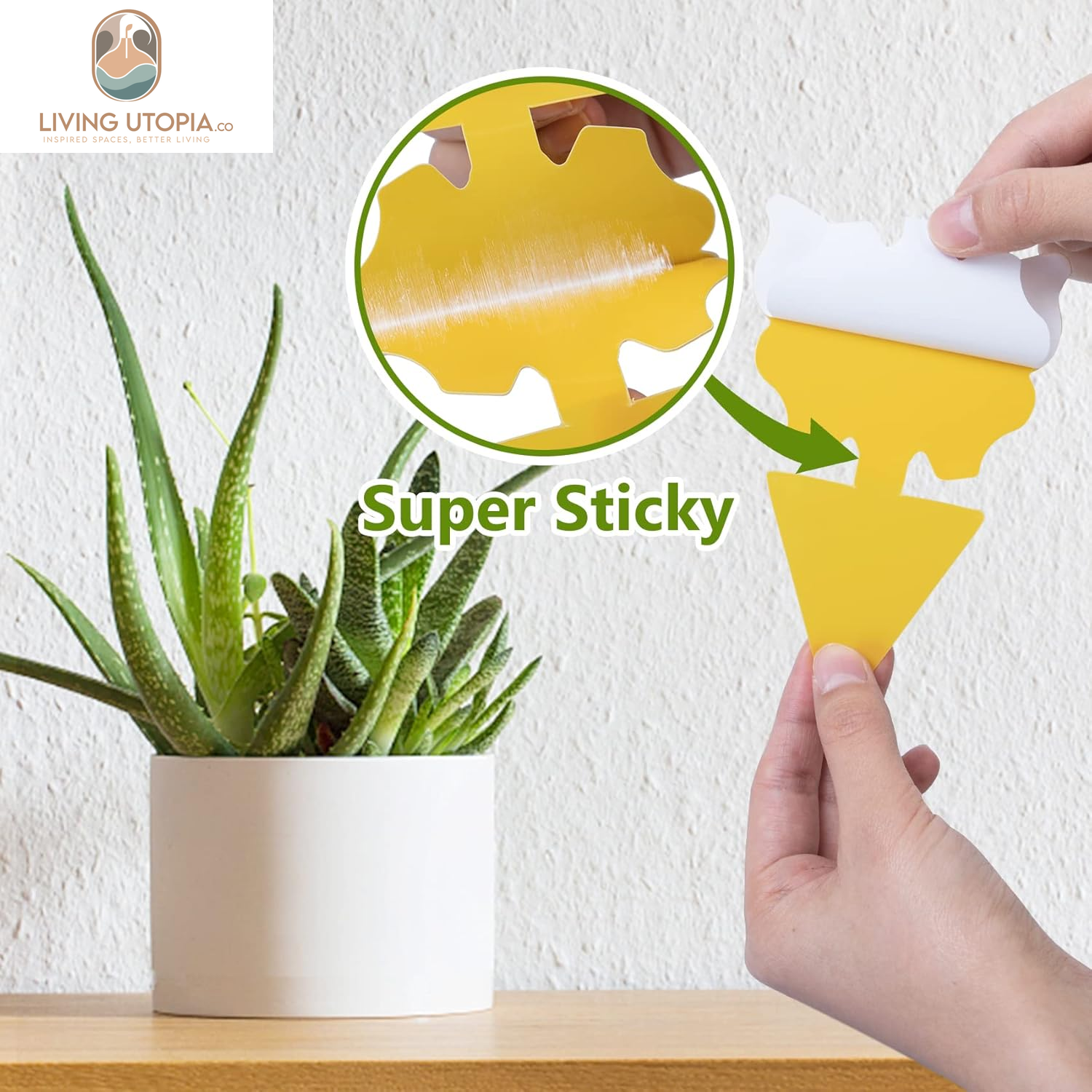 Yellow Sticky Fungus Gnat Traps – 40 Pack