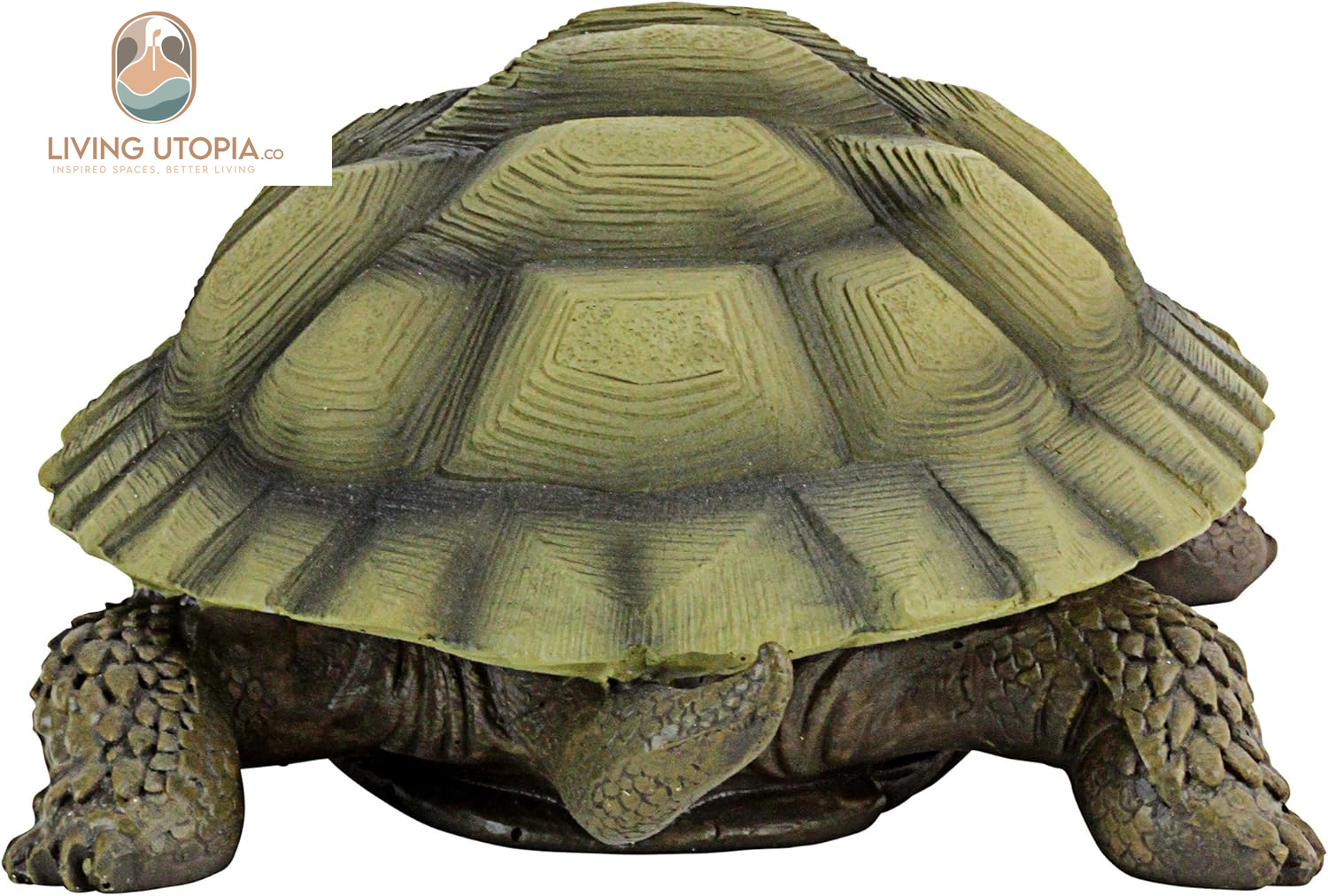 QM1887611 Gilbert the Box Turtle Garden Decor Animal Statue, 9 Inch, Full Color