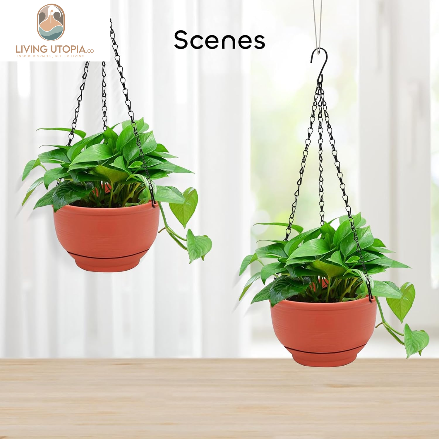 2 Packs 8 Inch Plastic Hanging Planter Pot Self Watering Basket with 6 Pcs Hooks, Indoor Outdoor Plants Flower Pot Detachable Base for Garden Home Decoration (Terracotta Color)