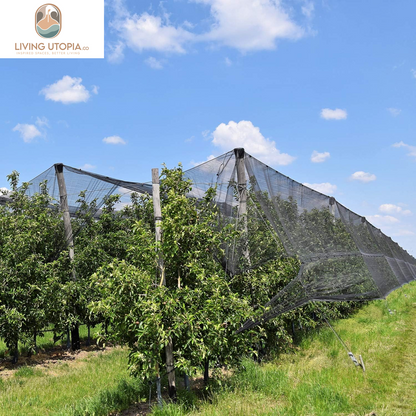Black Outdoor Insect Netting (9.84 x 32.81 ft)