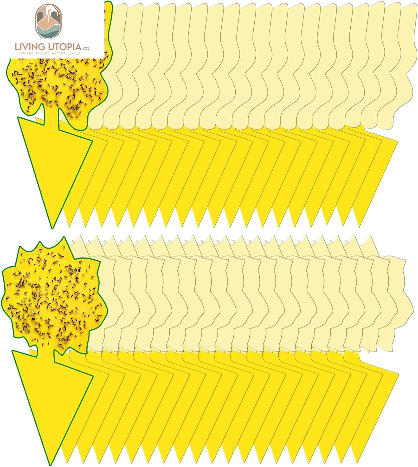 Yellow Sticky Fungus Gnat Traps – 40 Pack