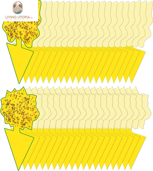 Yellow Sticky Fungus Gnat Traps – 40 Pack